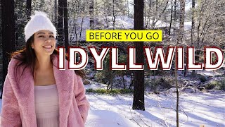 IDYLLWILD California 🐕 WATCH Before you go [upl. by Towill]