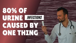 80 of urine infections are caused by one thing [upl. by Enasus]