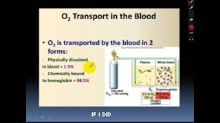 Respiratory Physiology  Gas Transport Part 1 [upl. by Mccafferty]