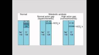 Acidose Metabólica  Noções Gerais [upl. by Hiamerej133]