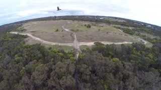 Wedge Tailed Eagles ATTACK Parkzone Radian Glider Aerobatics Filmed with 16 808 camera [upl. by Kcirddec]