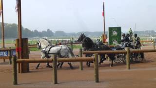 Robles Marchena Juan ESP CH M A4 Alltech FEI WEG Caen Normandy FRA 2014 Marathon O 1 06 09 201 [upl. by Neil]