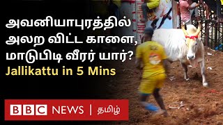 Avaniyapuram Jallikattu 2024 Highlights ஆட்டம் காட்டிய காளைகள் அசத்தியது யார் [upl. by Weaver]