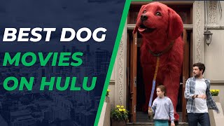 Best Dog Movies on Hulu  Best Puppy Movies on Hulu [upl. by Annairdua]