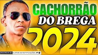 CACHORRÃO DO BREGA 2024 [upl. by Erlewine]