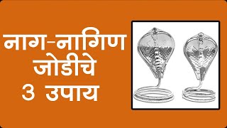 Kaal Sarp Dosh Remedies काल सर्प दोष काढून टाकण्यासाठी उपाय [upl. by Alyahsal659]