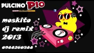 POLLITO PIO REMIX ELECTRO MOSKITO DJ 2013 0988260588 [upl. by Eicnan762]