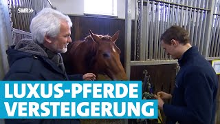 Loesdau Lessons Basics mit Kati Das Pferd richtig satteln [upl. by Rengaw]