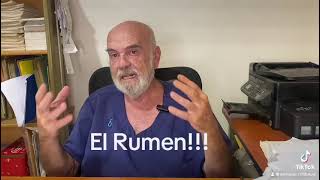 EL ROL DEL RUMEN EN LA DIGESTIÓN DE LOS RUMIANTES [upl. by Neyud]