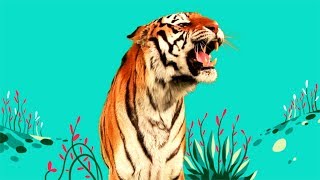 StoryBots  Wild Animal Songs Tiger Lion Zebra Rhino  Learning Songs for Kids  Netflix Jr [upl. by Sivek968]