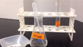 Magnesium in Hydrochloric Acid [upl. by Acirahs669]