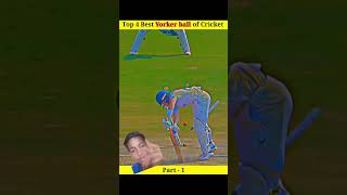 top 4 yoker ball who is bowler command [upl. by Akkin]