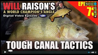 Target BIG Canal Perch amp Silvers  Will Raison Fishing [upl. by Japeth515]