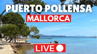 🔴 LIVE from Puerto Pollensa Mallorca Majorca  4 September 2022 [upl. by Irrabaj]