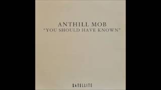 Anthill Mob ‎– You Should Have Known Todd Edwards You Should Have Vocalised Mix [upl. by Nevins]