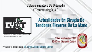 Actualidades En Cirugía De Tendones Flexores De La Mano [upl. by Sikleb]