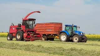 Grass Silage 2023  CaseMengele Mammut 7800 and 2x New Holland T6 [upl. by Neuburger232]