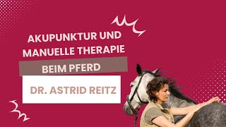 Akupunktur und Manuelle Therapie beim Pferd  Dr Astrid Reitz [upl. by Arielle]