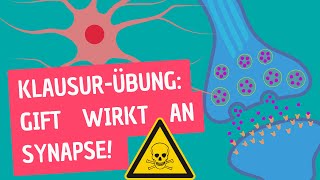 Klausurübung Wie wirkt Atropin vs Nowitschok an einer Synapse Besprechung einer Hausaufgabe [upl. by Novello]