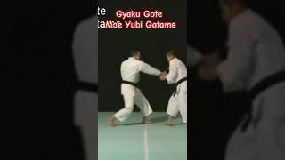 Gyaku Gote  Mae Yubi Gatame   Waza Kyu V  Shorinji Kempo Tekhnik‼️ [upl. by Lednam]