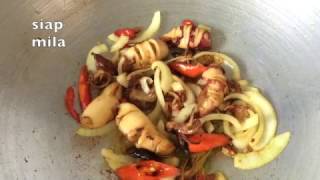 Resepi sotong masak sos tiram [upl. by Esme62]