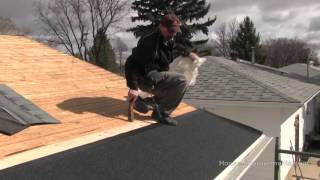 How To Install Shingles 2 Getting Started [upl. by Jonna131]