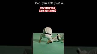 Idori Gyaku Gote  Osae Yubi Gatame  Waza Dan 3  Shorinji Kempo Tekhnik [upl. by Nosyrb]