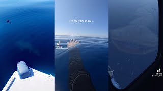 the ocean scares me  Thalassophobia Scary Ocean Tiktoks [upl. by Anett]