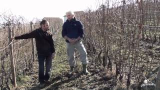 Live from the vineyard with Roberto Voerzio  puntata 1 [upl. by Wong888]