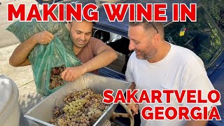 Making Wine in Georgia [upl. by Wane]