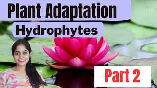 HYDROPHYTES PLANT ADAPTATION  ECOLOGICAL ADAPTATIONS biology csirnet neet [upl. by Ajax]