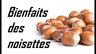 Les bienfaits des noisettes [upl. by Niarda]