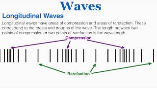 Waves Amplitude Period Frequency Wavelength Crests amp Troughs Wavelength of a Longitudinal Wave [upl. by Lindner]