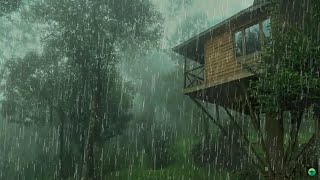 Pluie Relaxante pour Dormir en 3 Minutes  Son de Pluie pour se Détendre et Améliorer linsomnie [upl. by Drofnil414]