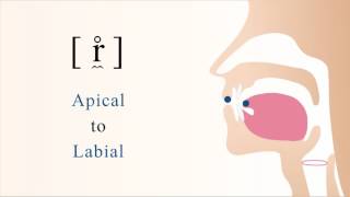 r̼̊  unvoiced apical labial trill [upl. by Kjersti113]