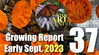 WAC Growing Report 2023 37 early sept [upl. by Nojad7]