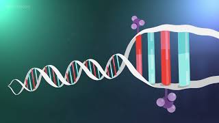 Detecting DNA methylation in the human genome [upl. by Aneem]