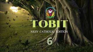 Tobit 6  English Audio Bible  AFCM  NRSV Catholic Edition [upl. by Janene]