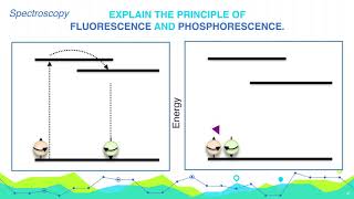 Explain the principle of Fluorescence and Phosphorescence  Analytical Chemistry [upl. by Fadden]