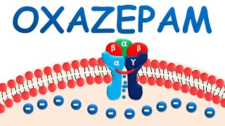 Oxazepam  Mechanism precautions side effects amp uses [upl. by Eiderf]