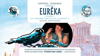 Épistémè lémission S1E01  les animaux fontils de la science [upl. by Towroy]