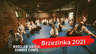 Toko J Flower sensei Athens Aikido and P Masztalerz sensei Wrocław Aikikai Summer Camp 2021 [upl. by Bach]