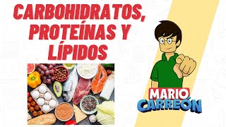 🍞 Carbohidratos 💥 ¿Qué son 🥔 Funciones 🍟 EJEMPLOS 🥞 Fácil y Rápido  BIOLOGÍA [upl. by Klug143]