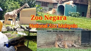 Zoo Negara  National Zoo Malaysia [upl. by Ailegna867]