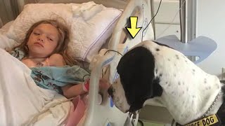 This Dog Walks Up to a Sick Girl and Does Something That Will Melt Your Hearts [upl. by Oidacra]