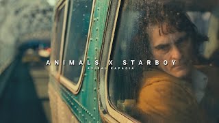 Animals x Starboy  Full Version  Aviral Kapasia  SlowedReverb [upl. by Eibbor]