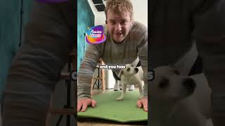 Puppy workout in the morning cat dog viralvideo [upl. by Aleedis]