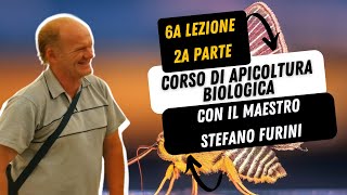 18  CORSO DI APICOLTURA BIOLOGICA  Asphodel Honey  con il maestro Stefano Furini Lezione 6 Parte2 [upl. by Honan]