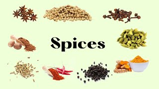 Spices Names  English Vocabulary [upl. by Atinniuq]