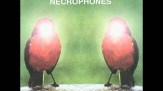 Lungfish  Necrophones 2000 Full Album [upl. by Karry]